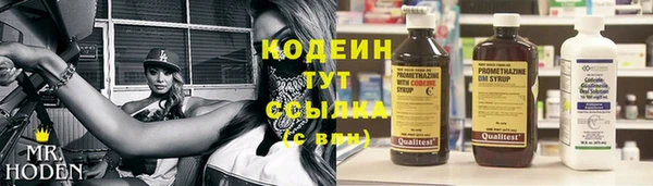 прущие грибы Балабаново