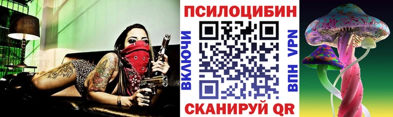 купить наркотики цена  Вытегра  Галлюциногенные грибы Psilocybine cubensis 
